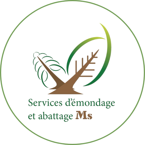 Service d'émondages et coupe d'arbre dans l'Outaouais | Émondage MS